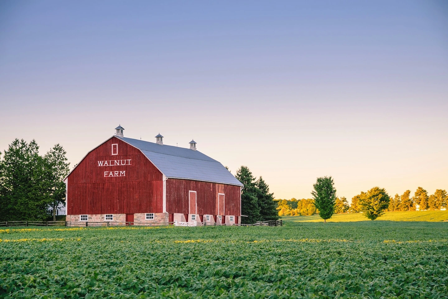 How to Make Effective Fertilizer Supply Requests as a Buyer