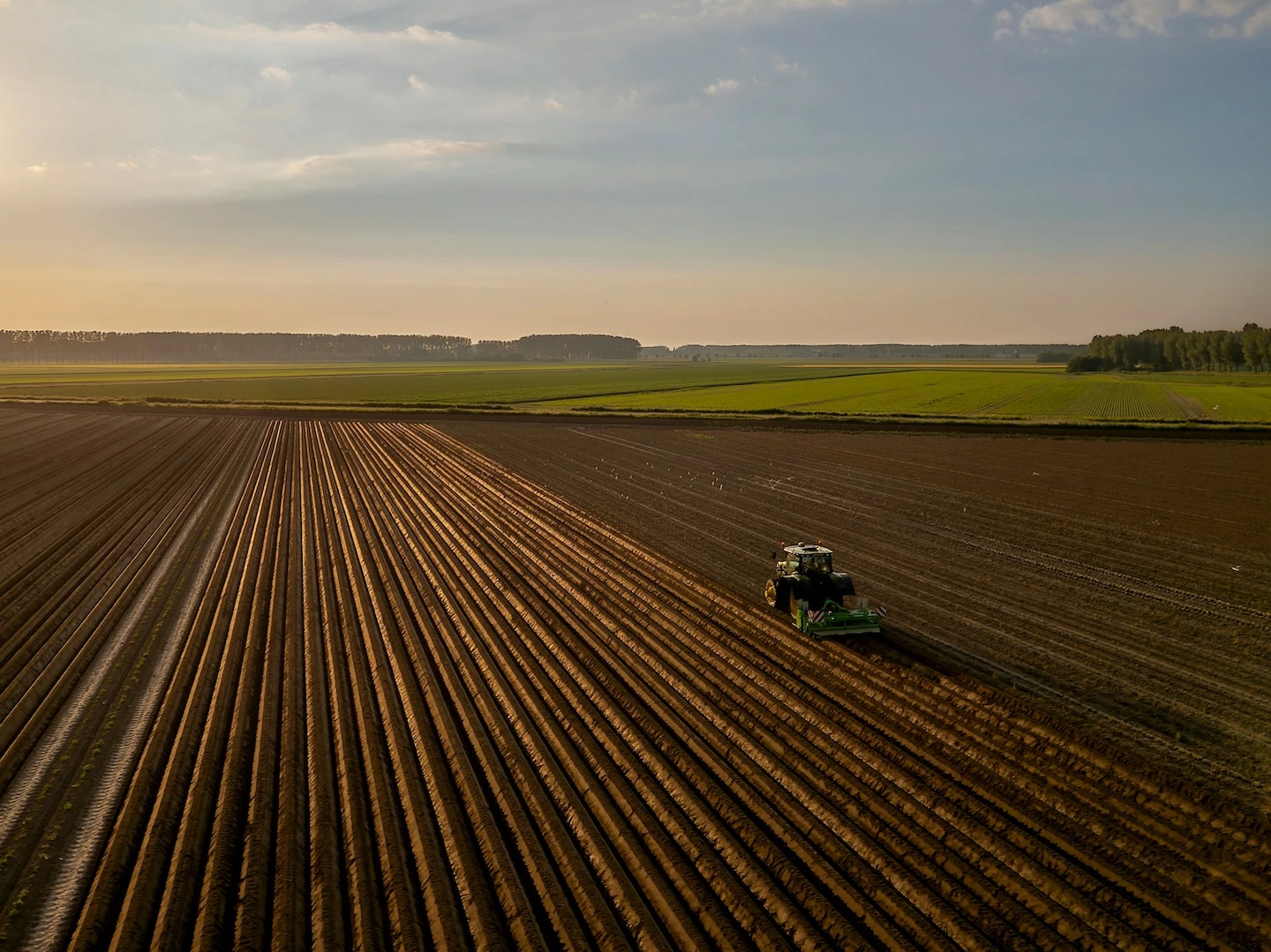 Personalized Fertilizer Solutions for Your Soil
