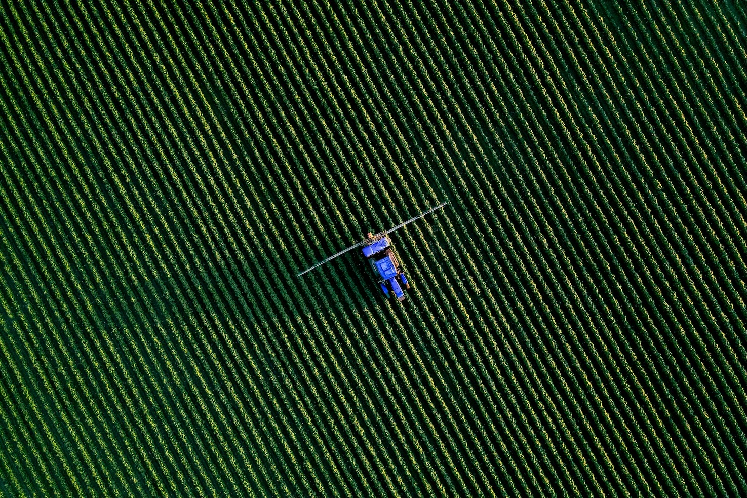 Top Fertilizer Manufacturing Trends to Watch in 2025