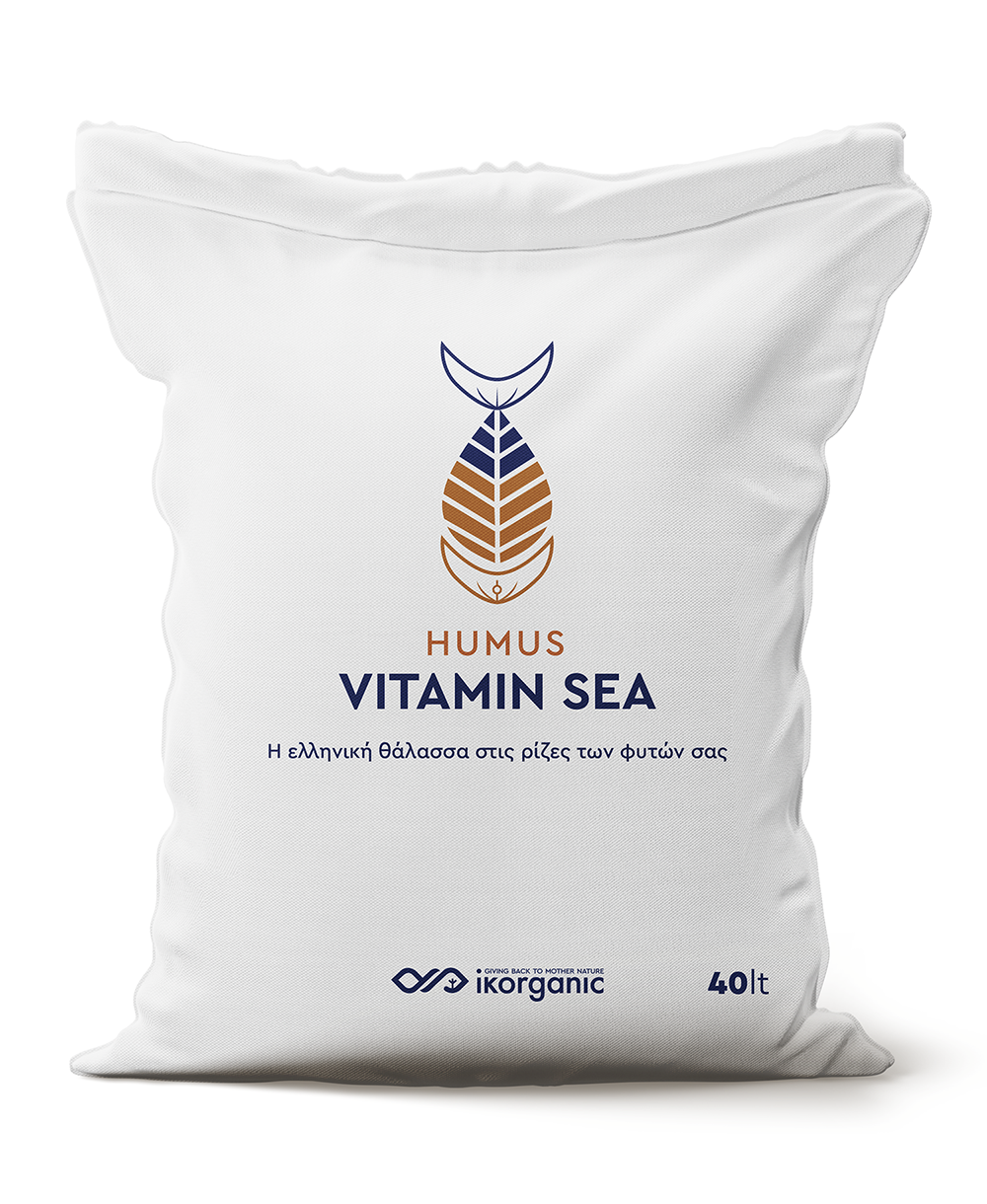 Vitamin Sea Humus